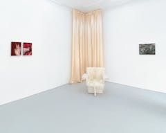 Coulisse Gallery - Image 4