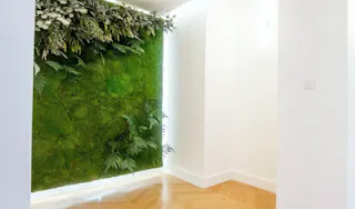 Marais pop up showroom - Image 2